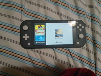 Switch lite