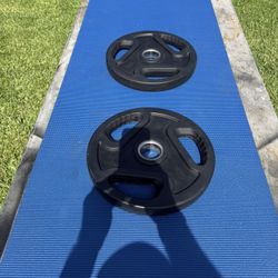 Pair Of Rubberized Olympic Weights By Spartaa