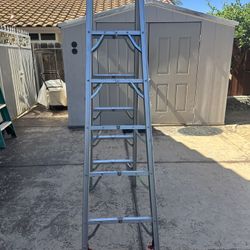 6 Ft Ladder 