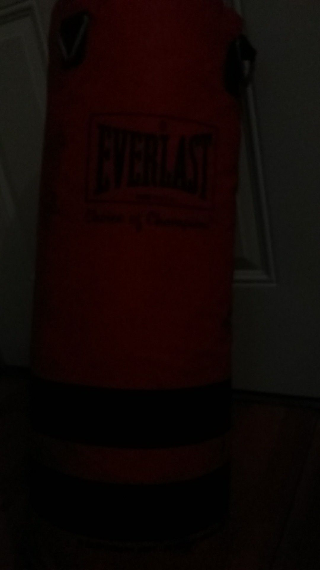 Everlast punching bag