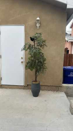 Decorative tree/plant