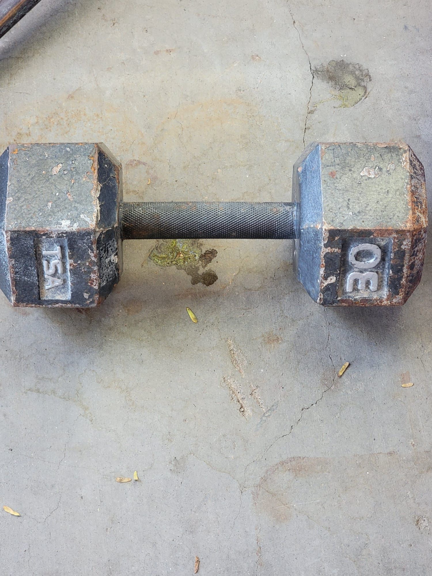 30 Pound Weight