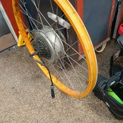 Zip Rear  Wheel Motor