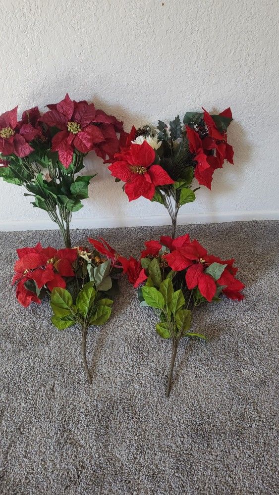 Poinsettias $20.00