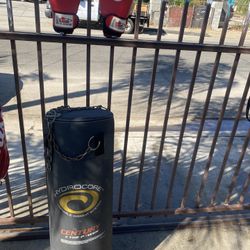 Punching Bag And Boxing Gloves 
