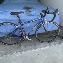 Giant XS Aluminum Road Bike 
