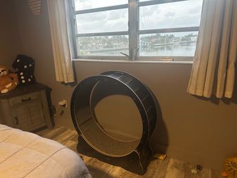 Cat wheel