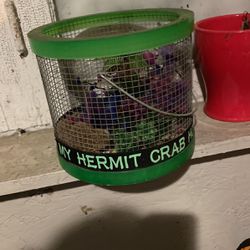 Hermit Crab Cage