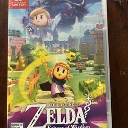 The Legend Of Zelda Echoes And Wisdom 
