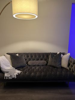 West Elm Grey Velvet Couch