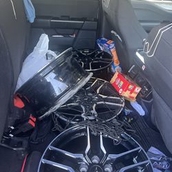 Mustang Allow Welles 