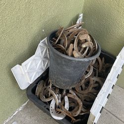 Horse shoes