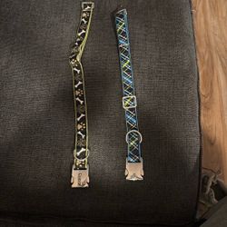 Dog Collars