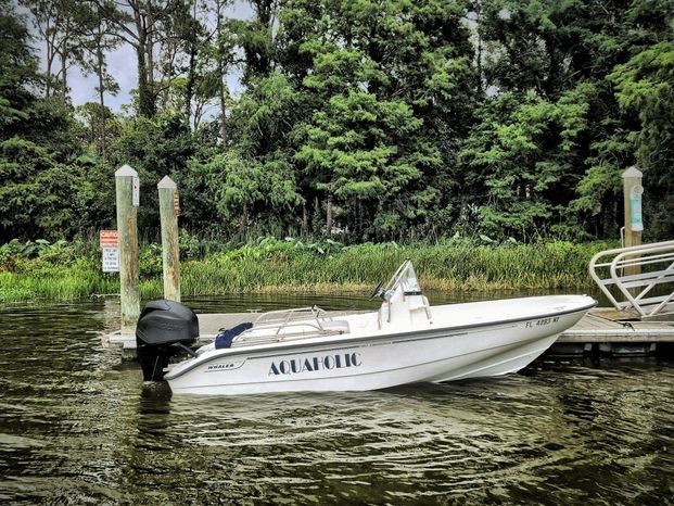 2007 Boston Whaler Dauntless 180