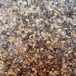 Livestock Feed. Para Vacas Caballos Y Chivos Pastura 