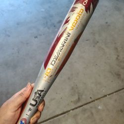 DeMarini Voodoo Baseball Bat 
