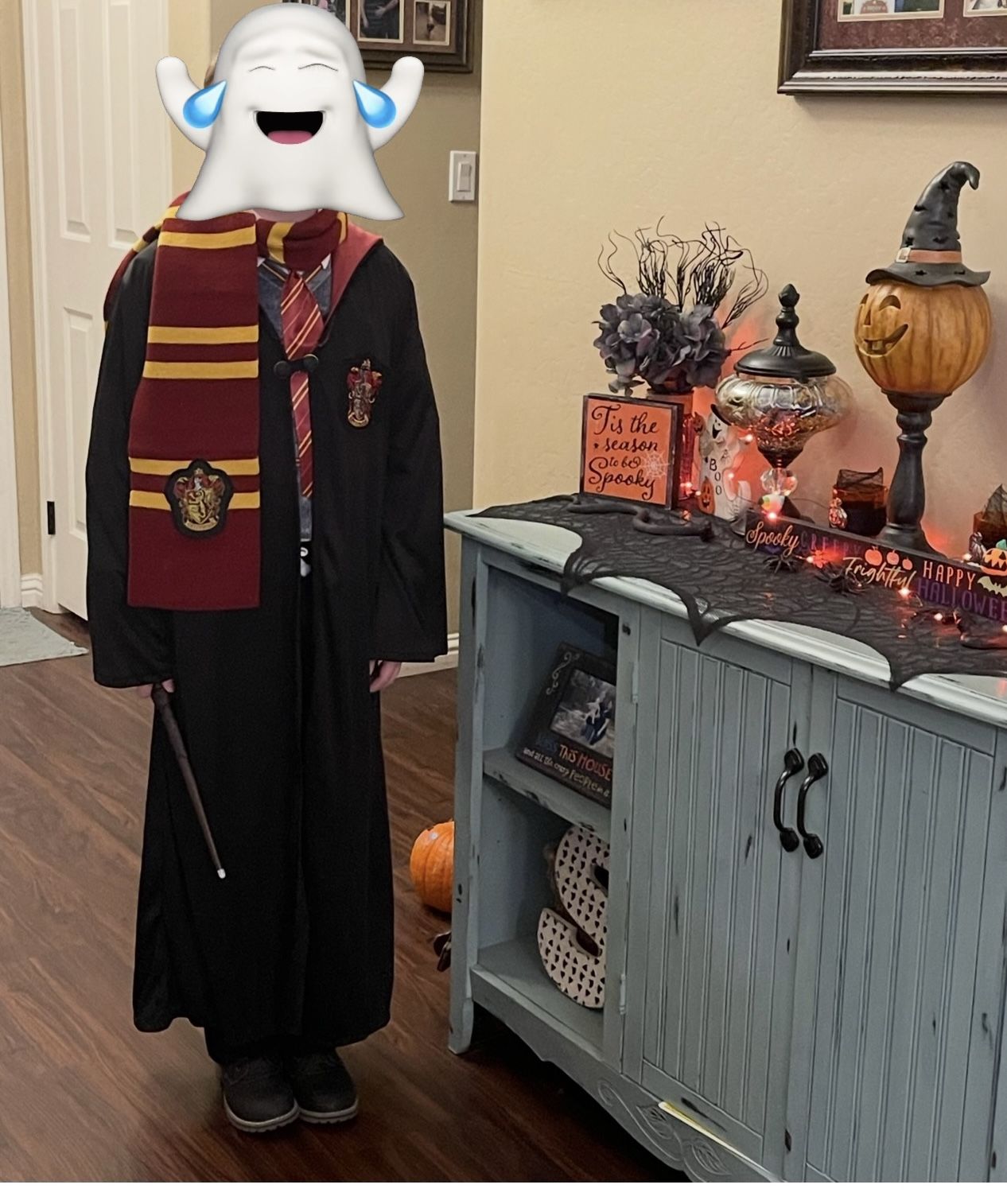 Boys complete Halloween costume Harry Potter Sz LG 10/12