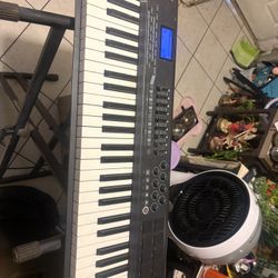 M AUDIO  En Buen Estado 