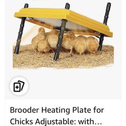Baby Chicken Heating Plate