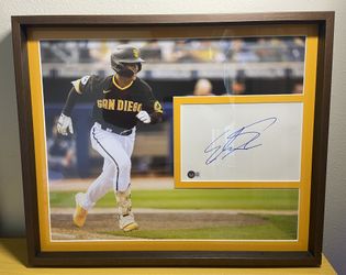 San Diego Padres Catcher Ethan Salas 16x20 Custom Framed Photo/Autograpgh