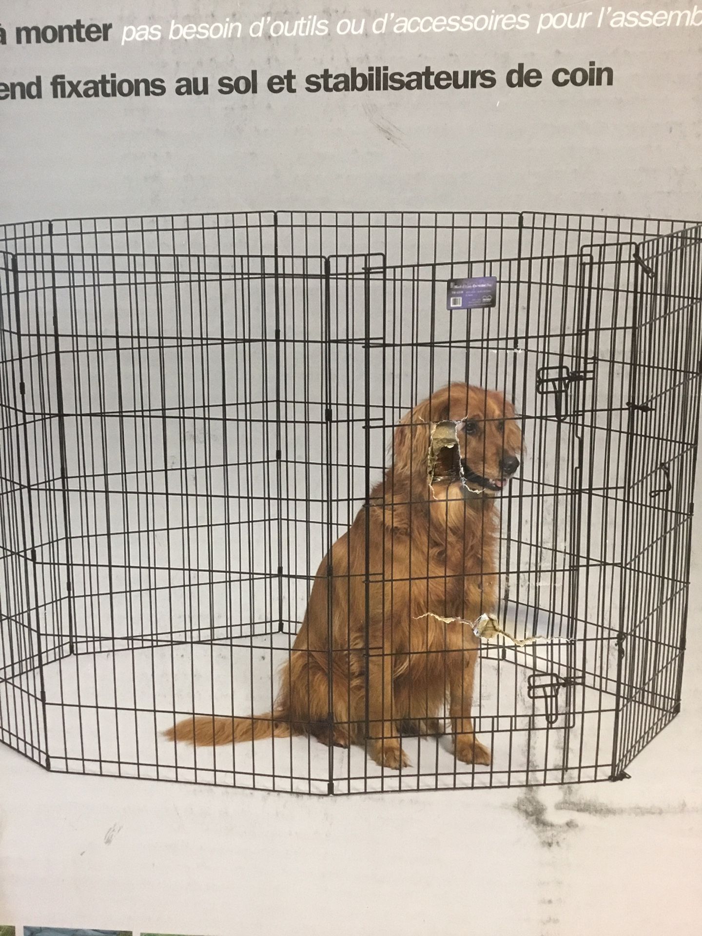 Dog playpen exercise with nice door walk through