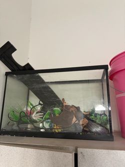 10 gallon Glass Fish Tank with Accessories