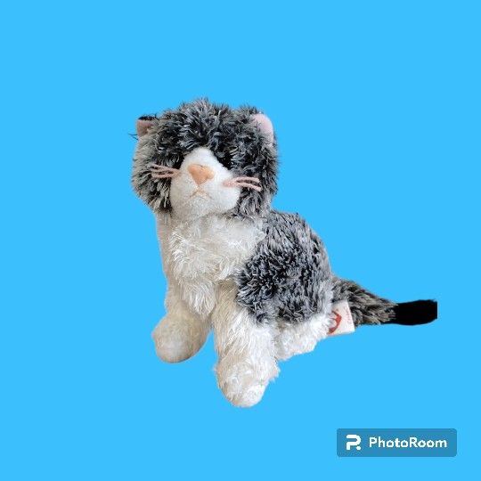 TY Beanie Baby 2.0 “Cricket” the Grey and White Cat bean bag Plush! *Rare* (6 inch)