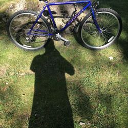 26” Diamondback Mountain Bike