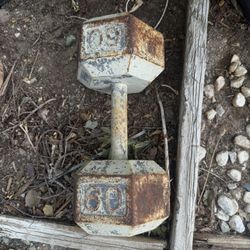 60 LB dumbell 