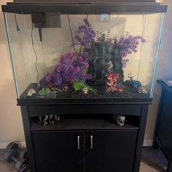 Never Been Used Fish Tank 
