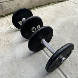 Dumbbells 20lb Set