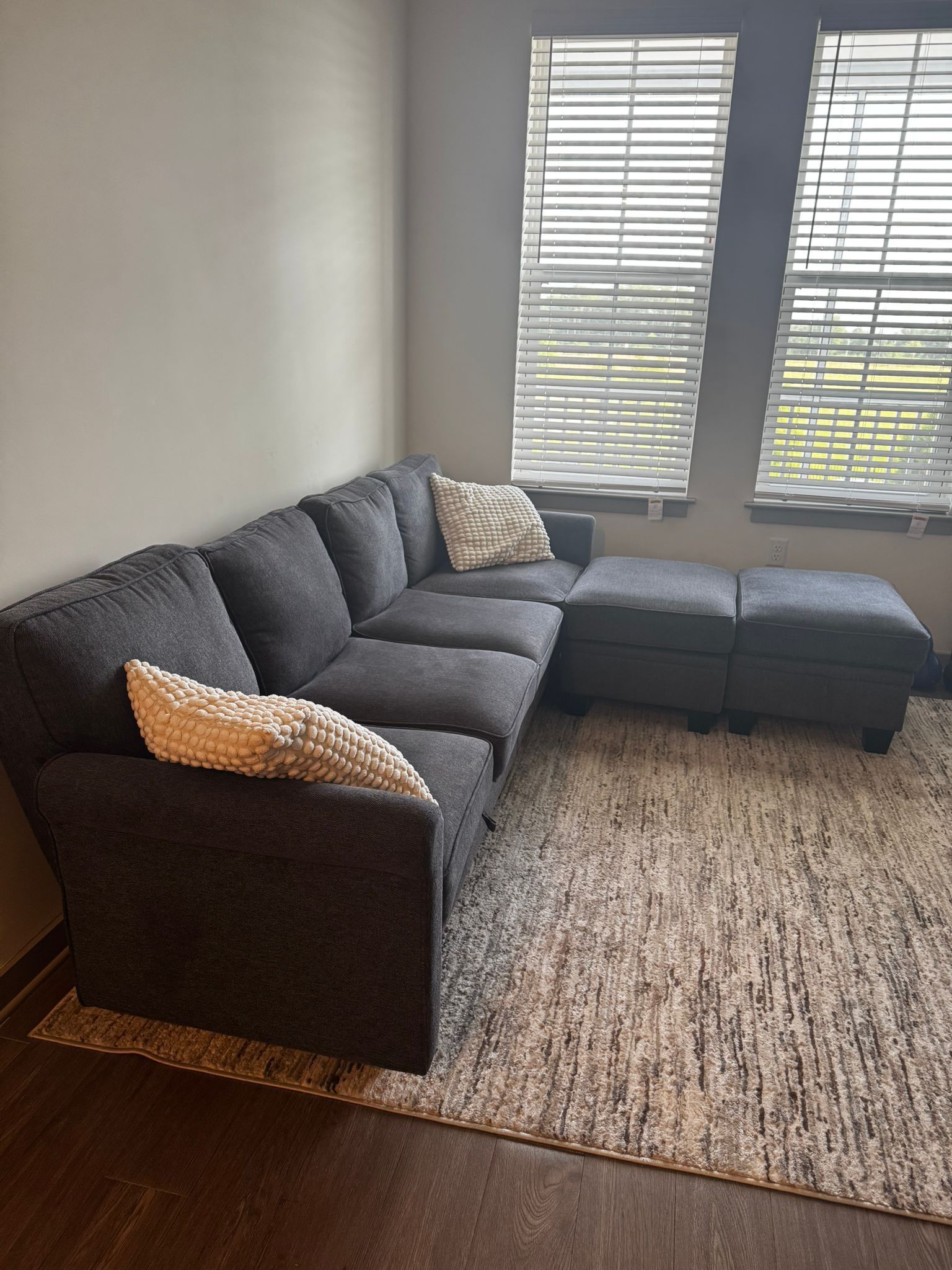 Dark Grey Couch