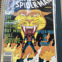 The Spectacular Spider-man 171 Dec (marvel,1990) 
