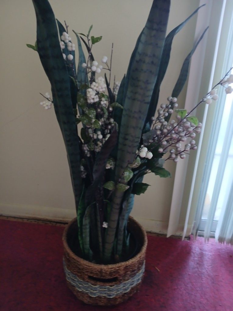 Tall Faux Snake Plant
