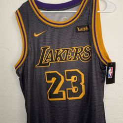 los angeles lakers lebron james jersey size 48