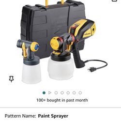 Paint sprayer