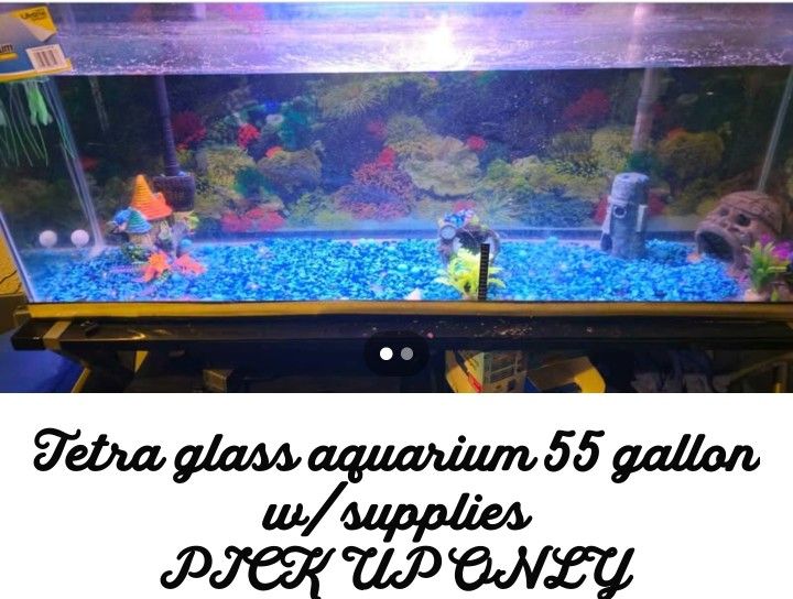 55 Gallon Fish Tank