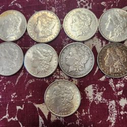 Morgan's Silver Dollars  $75 Each 