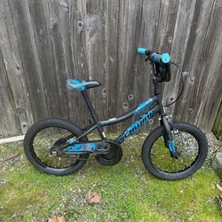 FREE Boys Schwinn Flywheel Bike-Blue