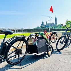 Burley Tail Wagon Pet Bike Trailer. Brand New In Box. 