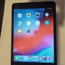 Apple iPad Mini 2nd Gen - 32 GB Wifi - Cracked Screen, Fully Functional