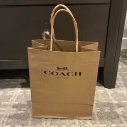 Brown Paper Coach Bag 