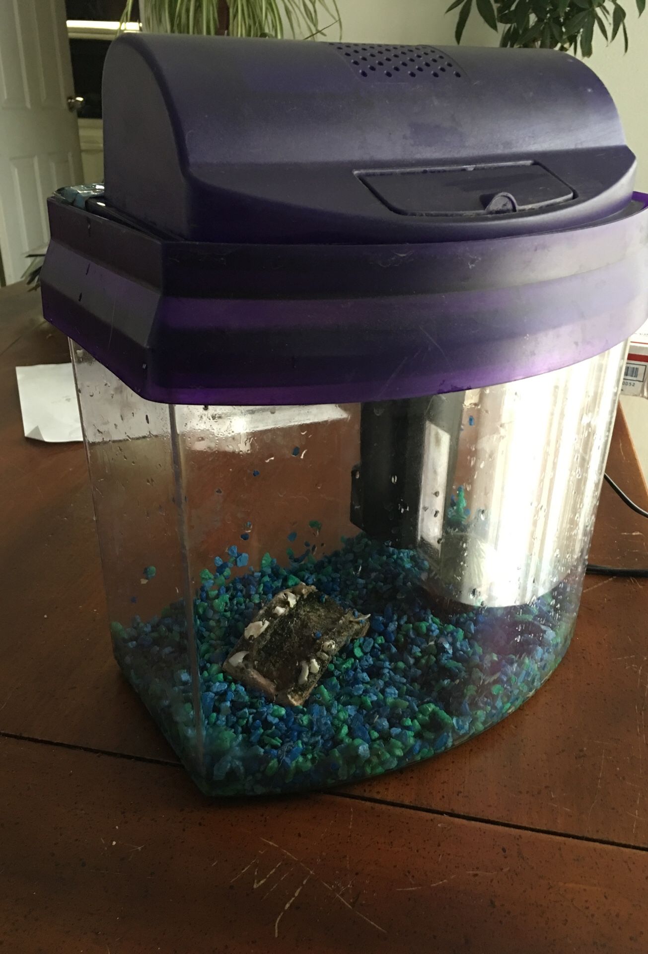 Fish Aquarium with filter.