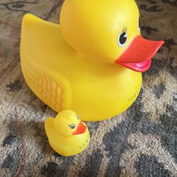 Set of two Rubber Ducks