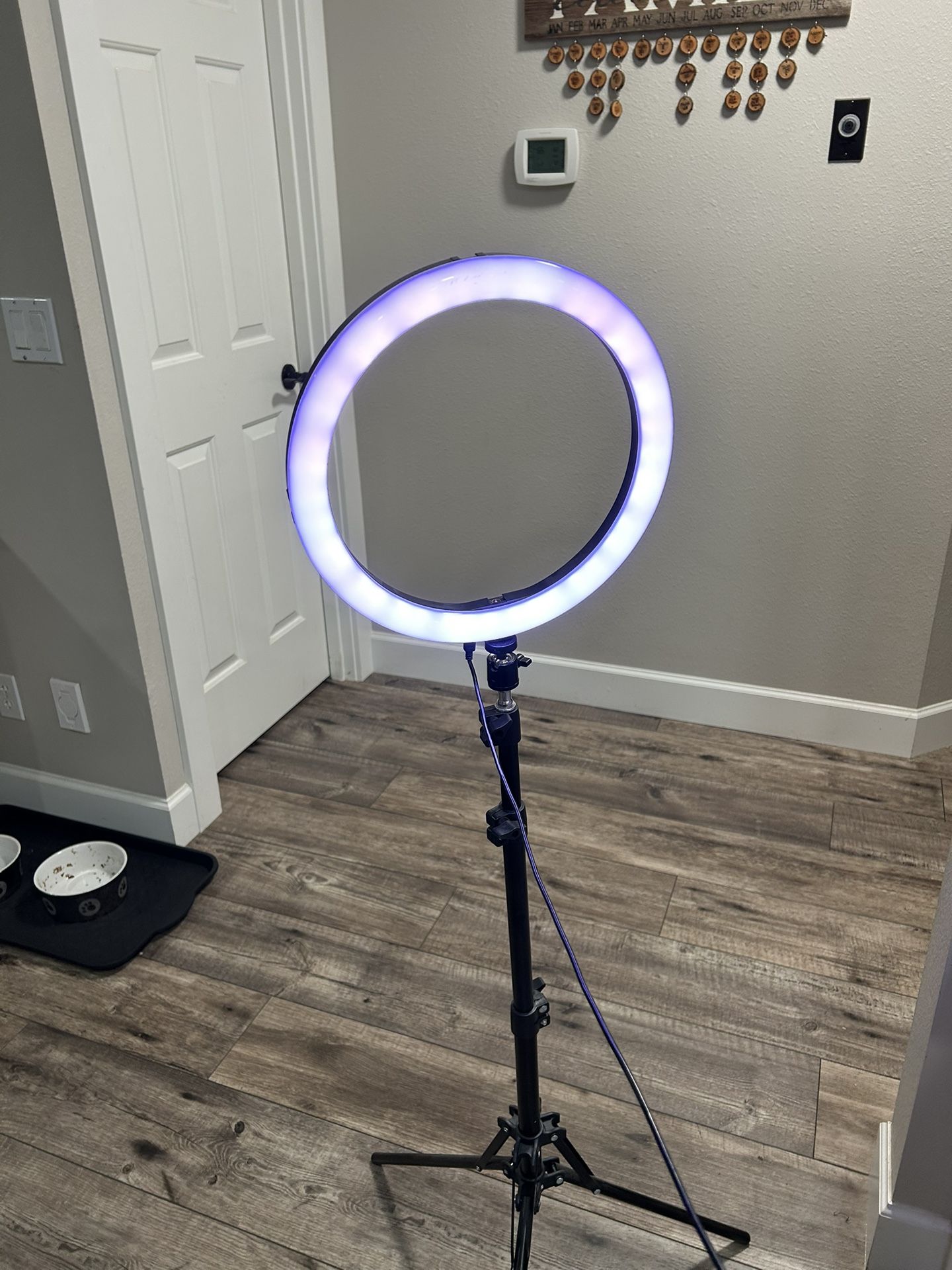 12” Selfie Ring Light 
