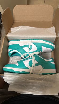 ✨NEW✨ NIKE DUNKS sz12