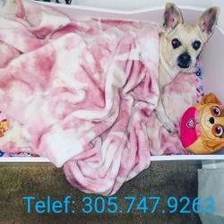 Camitas Y Comederos Para Mascotas