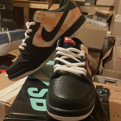 Nike SB Shoes Brand New 