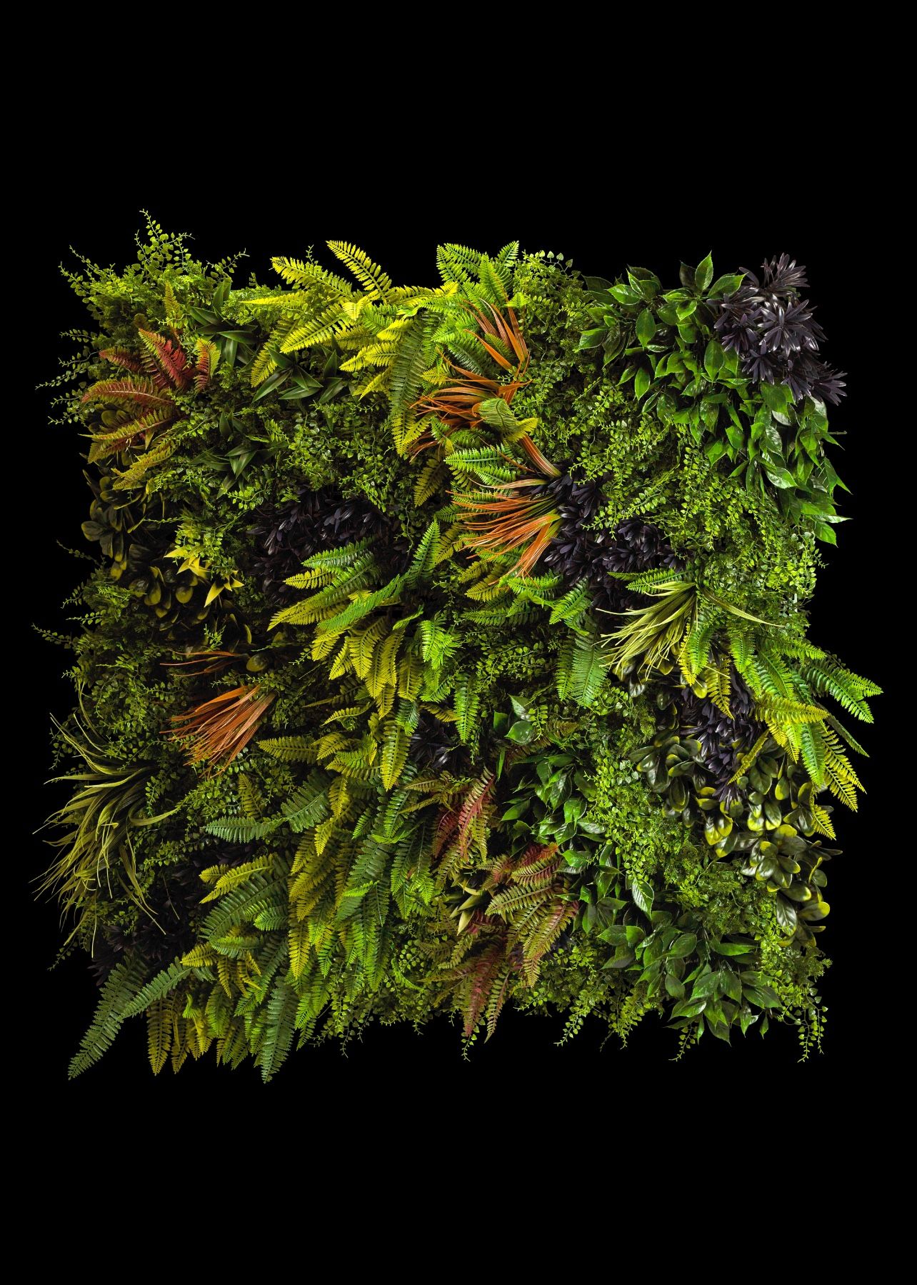 Eden C Foliage Panel