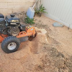 Stump Grinder